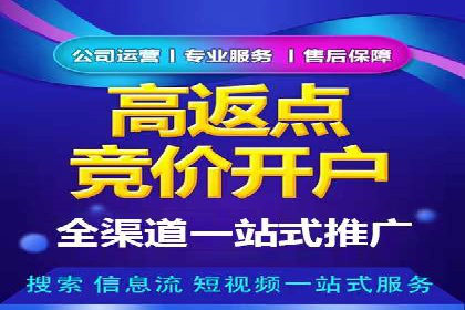 行业领先企业的sem账户竞价运营策略